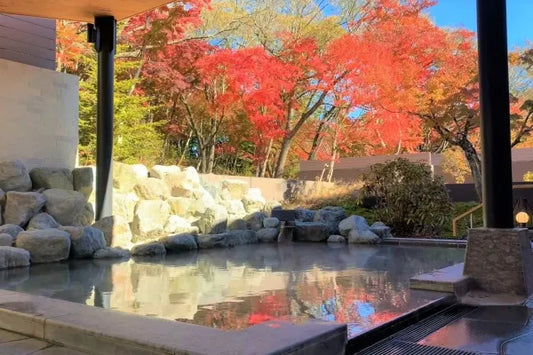 The Prince Karuizawa