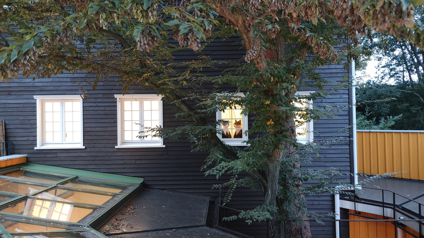 Ghibli Museum Mitaka Tokyo – Ticket Reservation Service