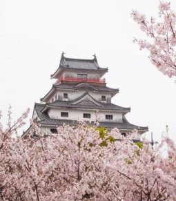 47都道府県の「オンライン桜見」（後編）