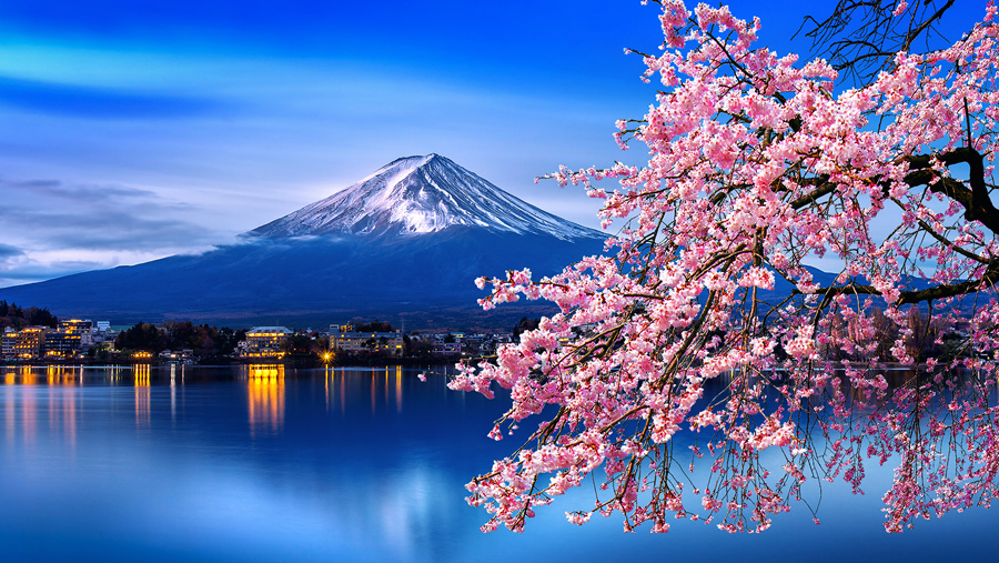 Mt. Fuji + Outlet + Hot Spring day tour by bus