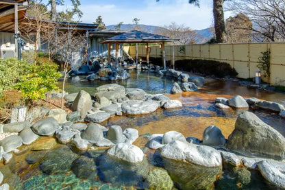 Hakone Kowakien Ten-yu