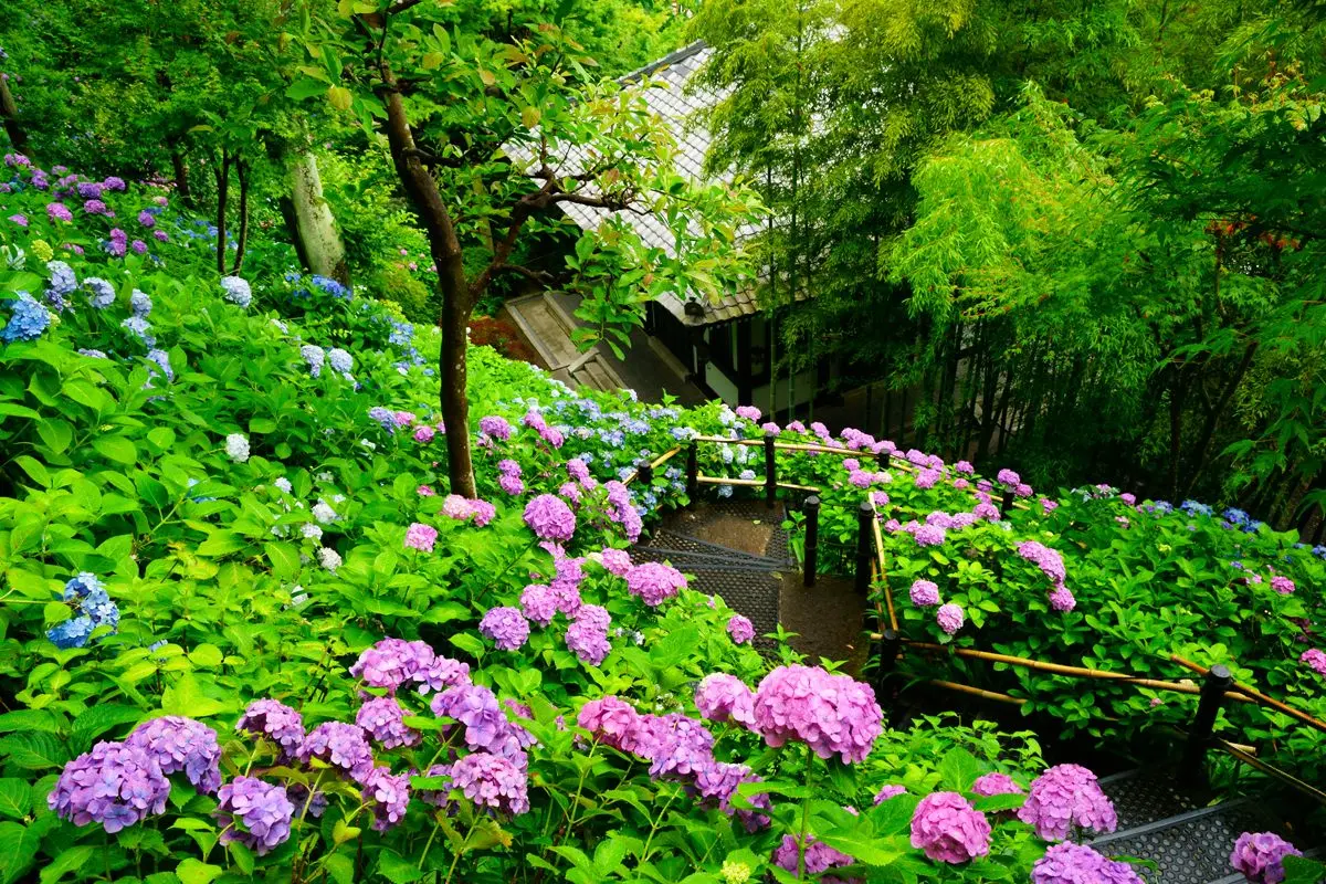Kamakura day trip