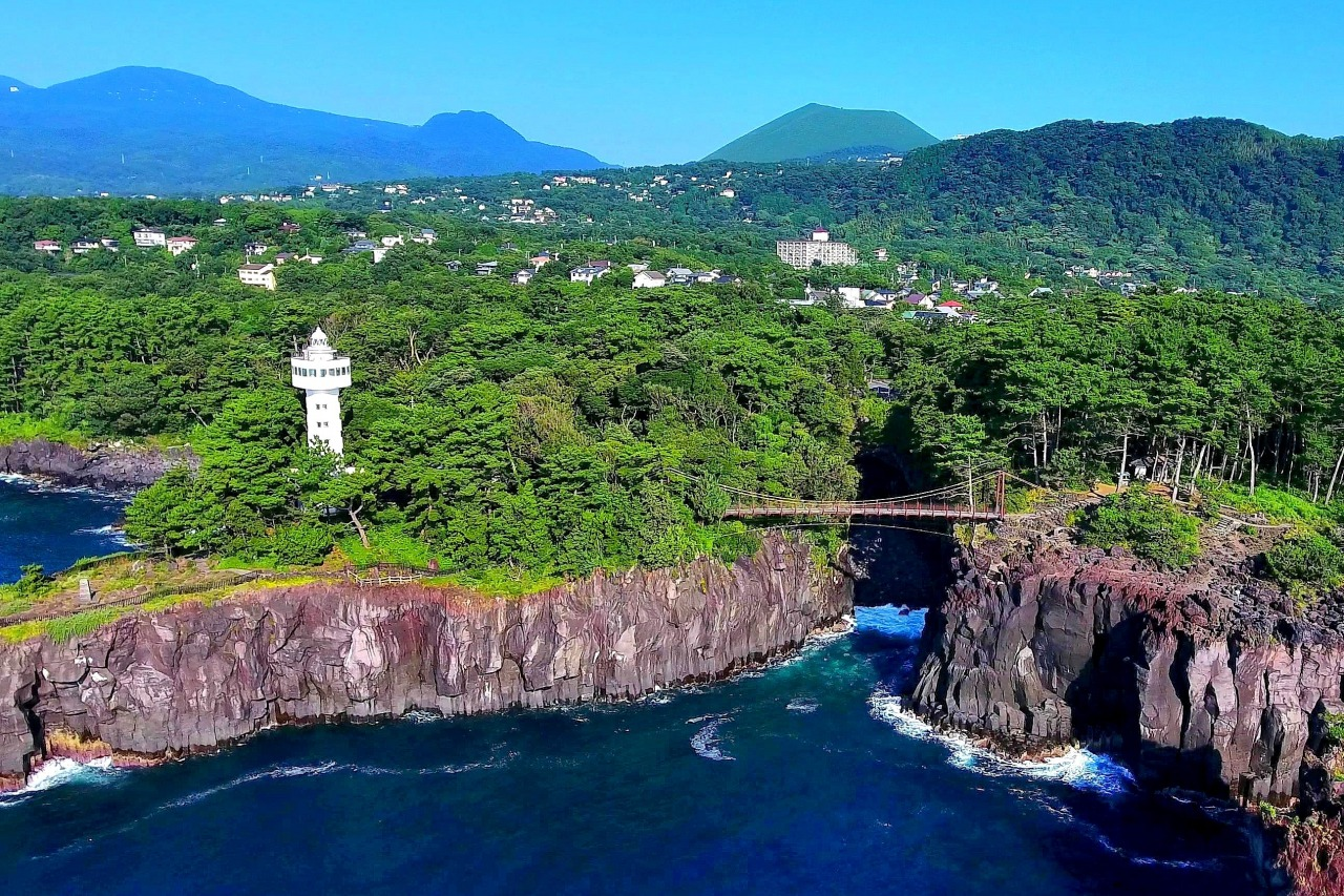 Izu day tour (departure from meeting point)
