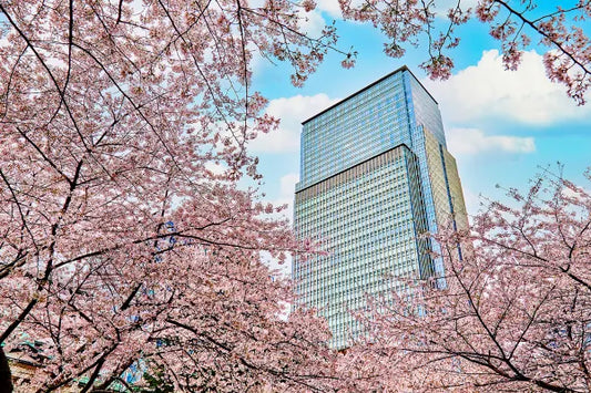 东京文华东方酒店(Mandarin Oriental, Tokyo)