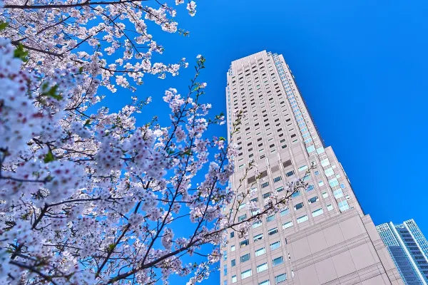 セルリアンタワー東急ホテル（Cerulean Tower Tokyu Hotel, A Pan Pacific Partner Hotel）