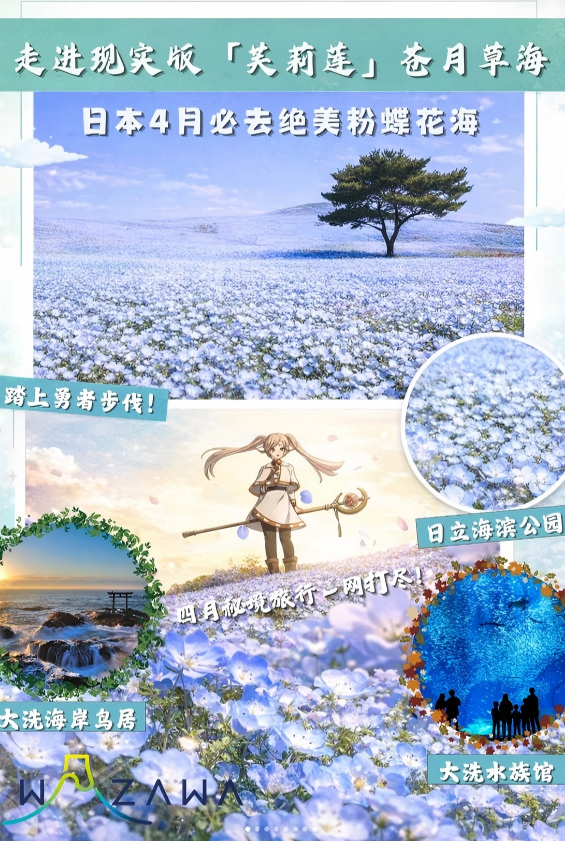 Hitachi Seaside Park day tour (shared ride)