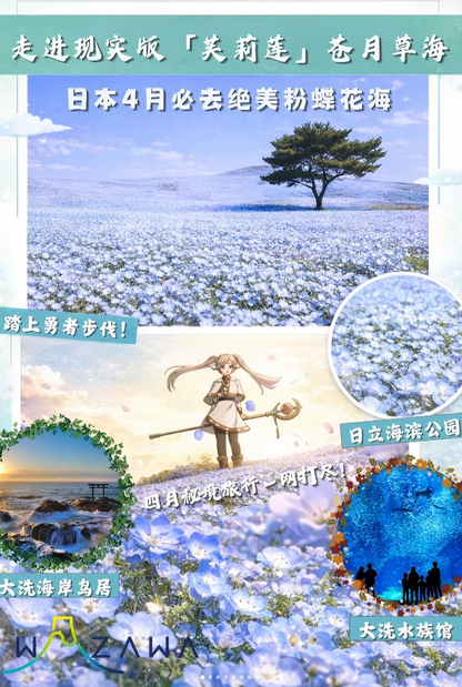 Hitachi Seaside Park day tour (shared ride)