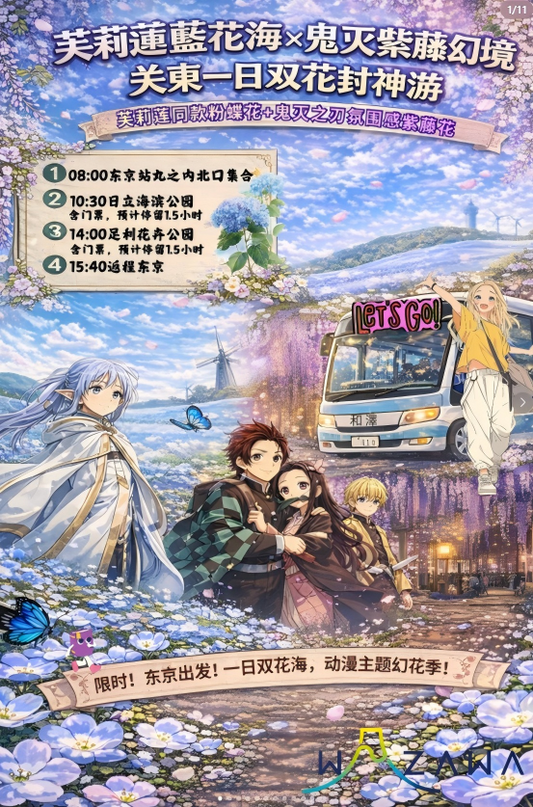 足立花卉公园紫藤花&日立海滨公园一日游