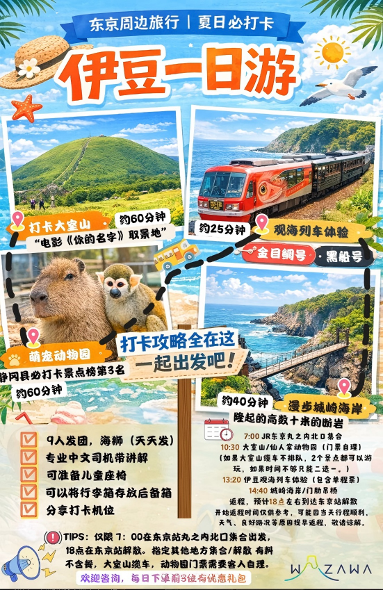 Izu day tour (departure from meeting point)