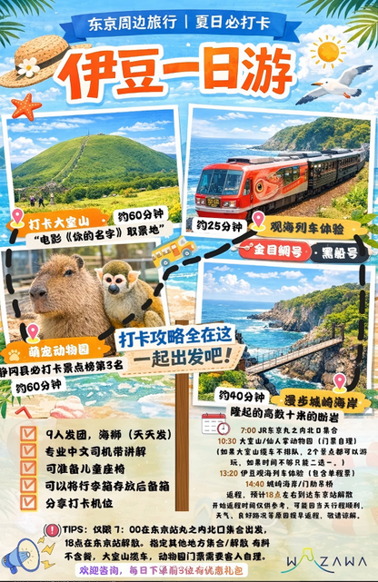 Izu day tour (departure from meeting point)