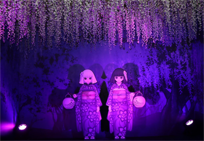 Ashikaga Flower Park wisteria & Hitachi Seaside Park day tour